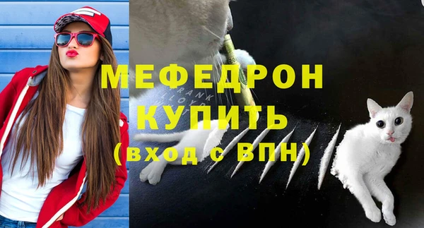 амф Бородино
